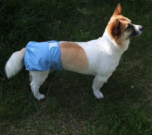 Miniatura 6 de JoyDaog Pañales para perros pequeños, paquete de 4 pañales reutilizables para cachorros, S