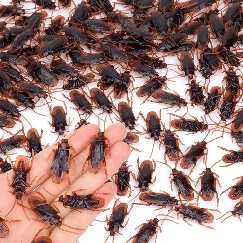 Miniatura 7 de Riomeira Cucarachas Falsas Premium, Cucarachas Falsas Bastante Realistas, Excelente Manera de Hacer una Broma, Cucarachas Falsas Realistas