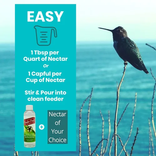 Miniatura 4 de Sapphire Labs Nectar Defender - Extensor de néctar de colibrí que prolonga la vida útil del néctar para comederos de colibríes, funciona