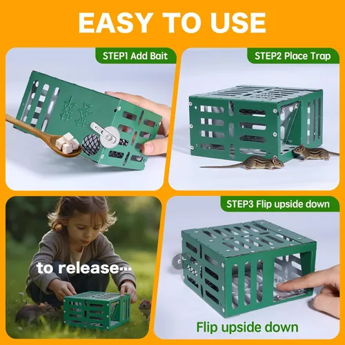 Miniatura 3 de Trampas humanitarias para ratones pequeños, trampa de metal reutilizable para atrapar y liberar en vivo, segura para niños y mascotas, fácil de usar