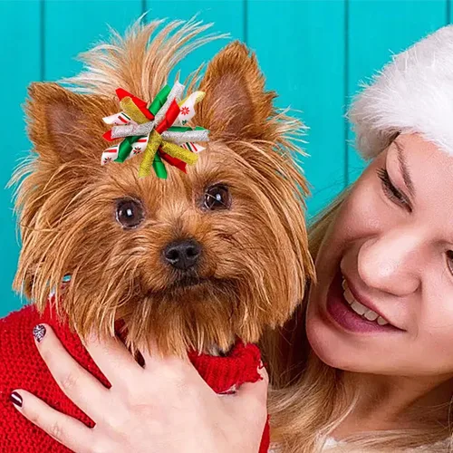 Miniatura 7 de PET SHOW 20 unidades/10 pares de moños rizados para el pelo de perros con bandas de goma para perros pequeños y medianos, en espiral
