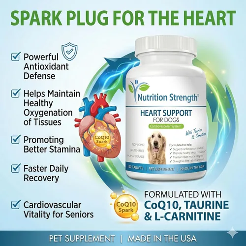 Miniatura 2 de Apoyo cardíaco para perros con taurina y carnitina, promueve la circulación sanguínea, apoya la función cardiovascular, integridad muscular cardíaca