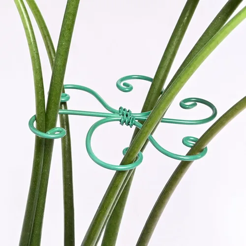 Yohsnor 5 ganchos de soporte para plantas Monstera - 4.1 x 4.4 pulgadas, estabilizadores flexibles duraderos para plantas de interior, soportes de