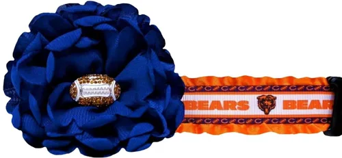 Miniatura 2 de Collar de perro Bears