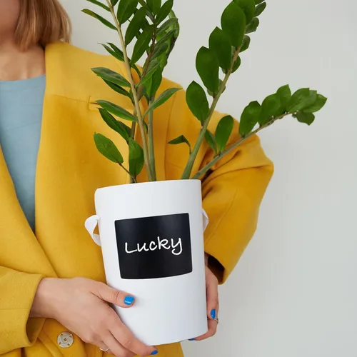 Miniatura 8 de ONUPGO Etiquetas de despensa de pizarra, grandes etiquetas adhesivas de pizarra para cajas grandes, etiqueta adhesiva de alimentos, etiquetas