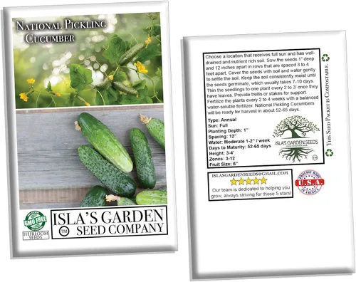 Miniatura 4 de Semillas nacionales de pepino encurtido para plantar, más de 75 semillas tradicionales por paquete, semillas de jardín de Isla