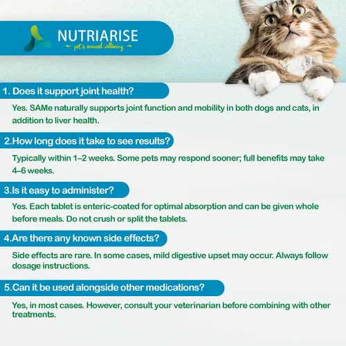 Miniatura 6 de Same 90 para perros y gatos - Suplemento de apoyo hepático con cardo mariano - Ayuda con la salud de las articulaciones, desintoxicación hepática