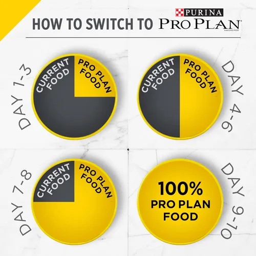 Miniatura 22 de Purina Pro Plan - Alimento para perros de raza pequeña con alto contenido de proteínas, fórmula de pollo y arroz, bolsa de 18 libras