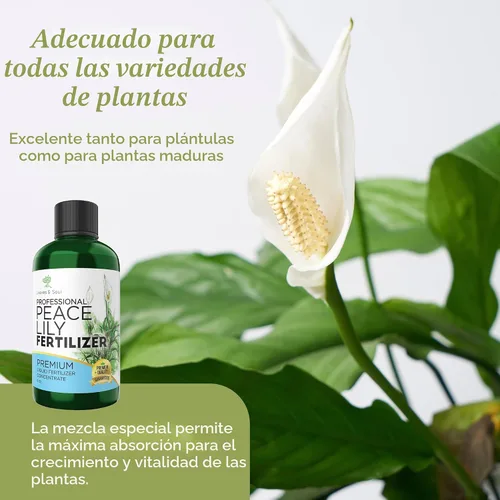 Miniatura 8 de Fertilizante líquido profesional para plantas de lirio de la paz 3-1-2 concentrado para plantas y flores Mezcla multiusos y suministros