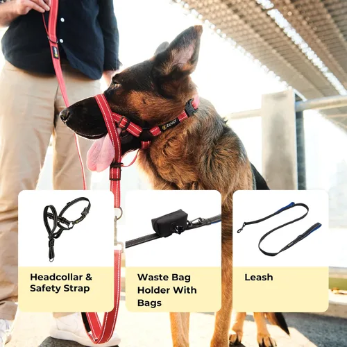 Miniatura 3 de Collar para la cabeza de perro con correa y correa de seguridad que detiene los tirones pesados de la correa, acolchado reflectante para la cabeza