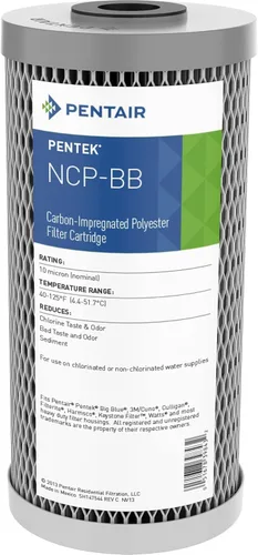 Pentair Pentek NCP-BB - Filtro de agua de carbono azul grande, 10 pulgadas, cartucho de poliéster impregnado de carbono plisado para toda la casa,