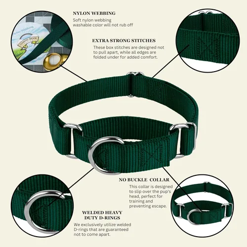 Miniatura 8 de Country Brook Petz - Collar Martingale para perro - Collar de entrenamiento resistente sin hebilla - Collar para perros de servicio para todos