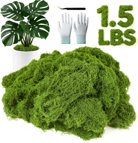 Miniatura 13 de MGLIFEUL Musgo artificial artificial de 1.125 libras para manualidades, plantas de interior con guantes antiadherentes y pinzas, musgo artificial