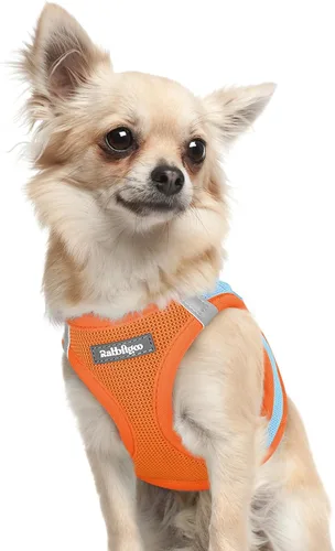 Miniatura 126 de rabbitgoo Arnés para perro pequeño, chaleco de malla suave para cachorros con hebilla de seguridad, arnés reflectante transpirable para mascotas