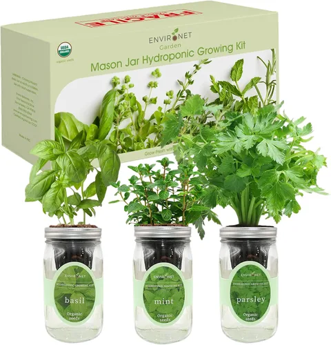 Miniatura 2 de Kit de cultivo de hierbas hidropónicas, kit de inicio de jardín de hierbas con riego automático en tarro de masón para interiores, jardín de hierbas