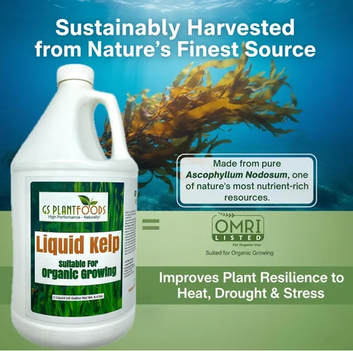 Miniatura 8 de GS Plant Foods Fertilizante Líquido de Kelp – Adecuado para Cultivo Orgánico, Concentrado de Algas Marinas Listado por OMRI para Césped, Jardines