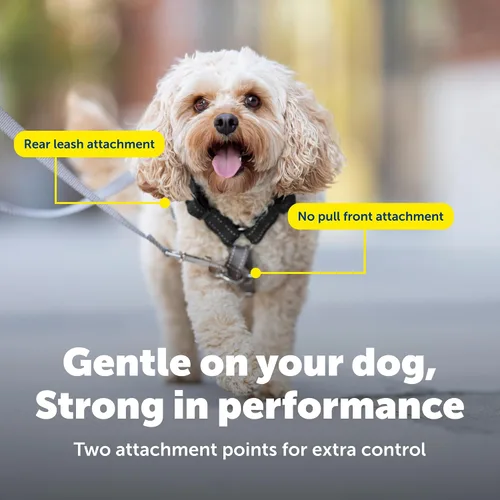 Miniatura 4 de PetSafe Arnés 3 en 1 con correa de control de dos puntos, arnés sin tirones, pequeño, negro, ajustable