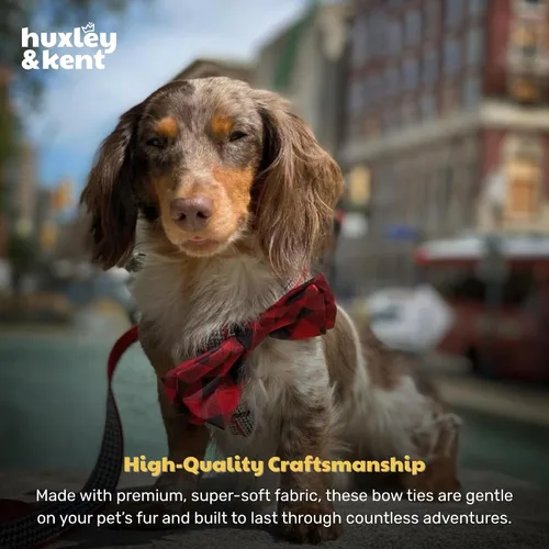 Miniatura 7 de Huxley & Kent Pajarita para mascotas para perros y gatos – Accesorio ajustable para collar de gancho y bucle para vacaciones de otoño – Lindo