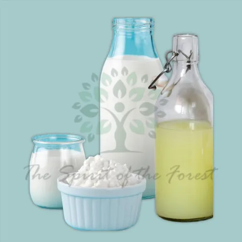Miniatura 6 de 1 juego de cereales de kéfir de leche para iniciar, probiótico activo fresco y vivo comienza tu propio cultivo de kéfir en casa, Bulgaros de Leche