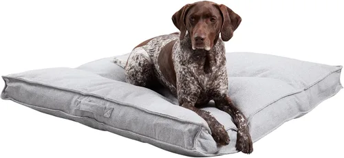 Miniatura 13 de Happy Hounds Milo - Cama cuadrada copetuda para perro, cemento, pequeña (24 x 24 pulgadas), 24.0 pulgadas de largo x 24.0 pulgadas de ancho x 5.0
