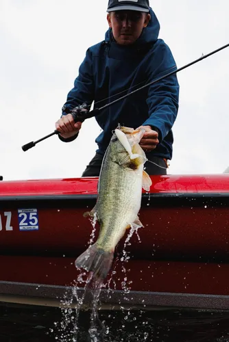 Miniatura 9 de Berkley PowerBait CullShad - Cebo blando para pesca