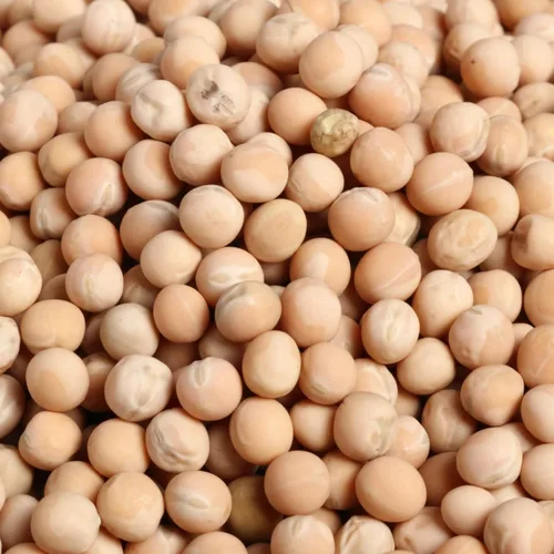 Miniatura 8 de Rani - Guisantes amarillos enteros, secos (Vatana, Matar) 400 onzas (25 libras) 11,36 kg Caja a granel ~ Todo natural Vegano Apto para gluten