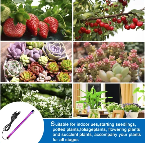 Miniatura 3 de Sondiko Tira de luz LED de crecimiento, encendido y apagado automático todos los días luz de cultivo con controlador mejorado, 48 LED, 4 niveles