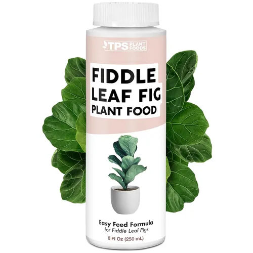 Fiddle Leaf Fig Plant Food - Alimento vegetal líquido para hojas más grandes, raíces más fuertes y un nuevo crecimiento saludable, 8 onzas