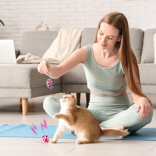 Miniatura 9 de PAWISE Kit de caja de arena para gatos recién nacidos, kit de 5 piezas con bandeja de arena de entrada baja, cuchara, cuencos de alimentación y Rosa