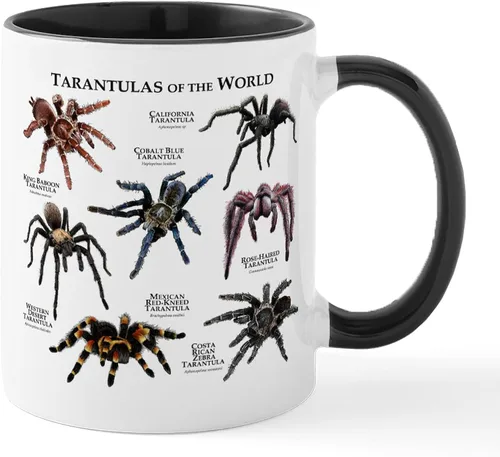CafePress Tarantulas Of The World Taza de café de cerámica (11 oz)