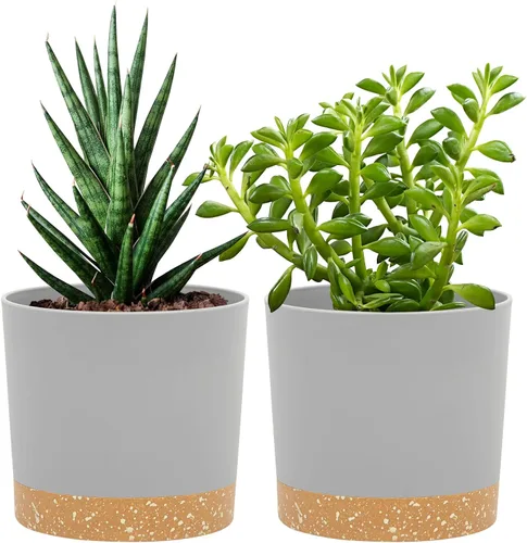 Miniatura 22 de QCQHDU Maceta de 8 pulgadas, paquete de 2 macetas para plantas de interior con agujeros de drenaje y platillo, macetas para exteriores, decoración