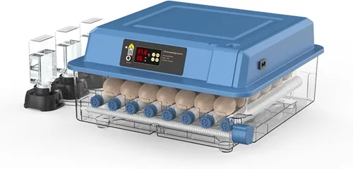 Miniatura 10 de Incubadoras automáticas para incubar huevos, capacidad para 6-256 huevos, control automático y ajustable de temperatura y humedad para pollo, pato