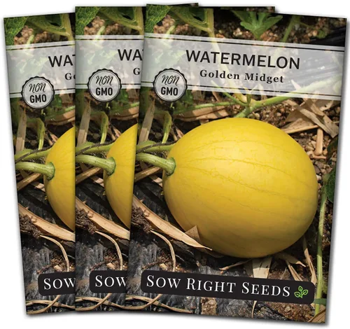 Miniatura 7 de Sow Right Seeds - Semilla de sandía Golden Midget para plantar - Paquete de reliquia sin OMG con instrucciones para plantar y cultivar un huerto