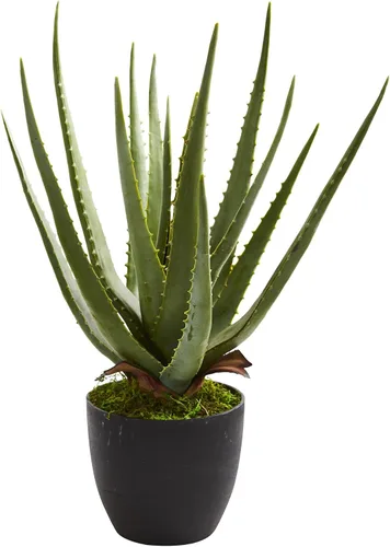 Miniatura 2 de Nearly Natural Planta artificial de aloe (juego de 2)