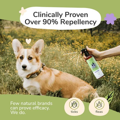 Miniatura 2 de kin+kind Prevención natural de pulgas y garrapatas para perros – Spray de pelaje no graso, formulado por veterinarios, lavanda, 12 onzas líquidas