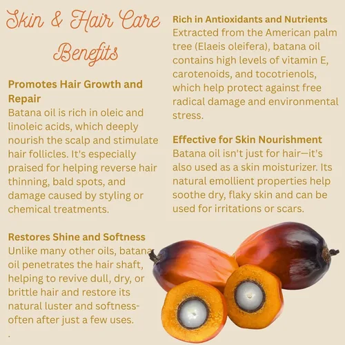 Miniatura 5 de Best Nature's Cosmetics Aceite de batana para el crecimiento y reparación del cabello: aceite de batana crudo de Honduras - 100% puro y natural