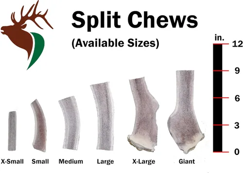 Miniatura 3 de Elkhorn Premium Chews - Paquete individual pequeño dividido (para perros y cachorros de 0 a 20 libras) asta de alce de grado premium para perros