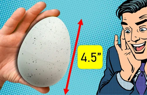 Miniatura 6 de JA-RU Juguetes Gigantes de Huevos de Dinosaurio que Crecen (6 Huevos) Juguetes Mágicos de Sorpresa que Eclosionan para Niños. Eclosiona y Crece