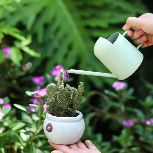 Miniatura 2 de Regadera Mini, 300ml/10oz de Acero Inoxidable con Boquilla Larga, Regadera Pequeña para Plantas de Interior, Suculentas, Hierbas (Verde)