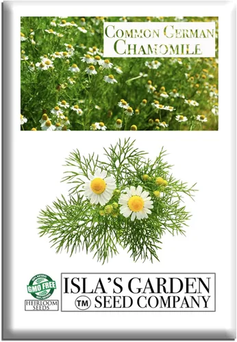 Semillas de flores/hierbas "Manzanilla alemana común" para plantar, más de 1000 semillas por paquete, semillas de jardín de Isla (semillas de jardín