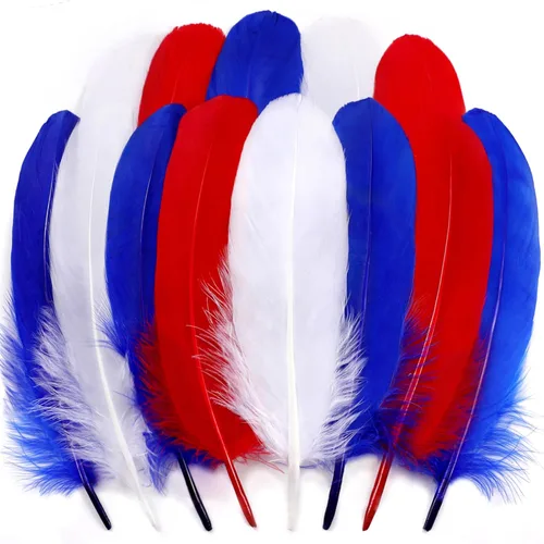 Miniatura 29 de 50 piezas de plumas de ganso naturales de 5 estilos, accesorios de ropa, paquete de estilos arcoíris, decoración de Pascua, Navidad, ropa