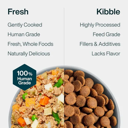 Miniatura 7 de JustFoodForDogs Comida Congelada Fresca para Perros, Comida Completa o Complemento, Receta de Carne de Res y Papa Russet de Grado Humano, 18 oz