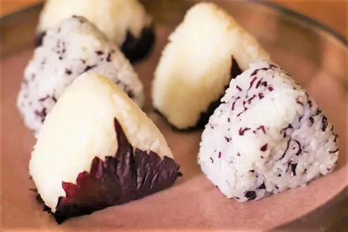Miniatura 4 de TomorrowSeeds - Purple Perilla (Shiso) Seeds - 500+ Count & 500+ Korean Perilla - for 2026 Planting Aka Jiso Beefsteak Leaf Green Tia to KKaennip