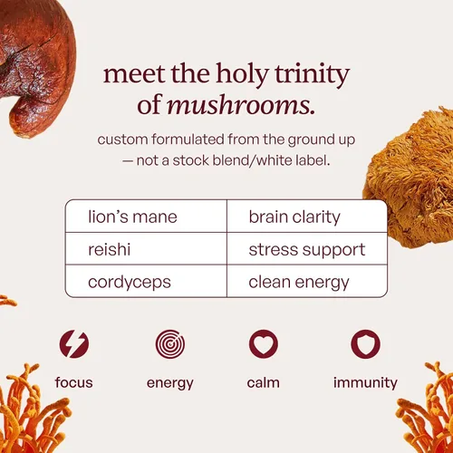 Miniatura 5 de Forest Caps Gomitas de hongos – Melena de León, Reishi y Cordyceps – Enfoque, calma y energía natural – Extractos corporales frutales orgánicos