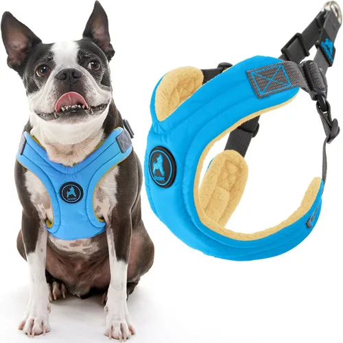 Arnés de goma espuma con memoria Gooby Escape Free - Azul, pequeño - Arnés para perros sin tirón, de entrada fácil, con ajuste de cuatro puntos,
