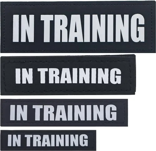 Miniatura 26 de Paquete de 2 parches para perros de servicio, parche de chaleco negro para perro en entrenamiento, parches de arnés para perros extraíbles