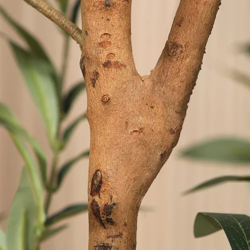 Miniatura 6 de Kazeila - Árbol de olivo artificial de 6 pies de alto de seda falsa para decoración del hogar, oficina, interior, planta falsa en maceta con ramas