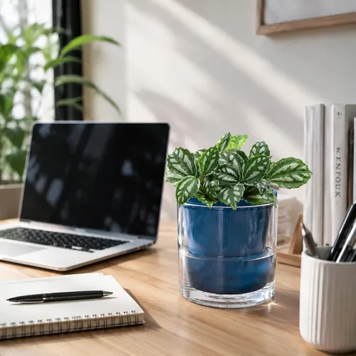 Miniatura 7 de D'vine Dev Maceta de Diseño de Riego Automático de 4 Pulgadas para Plantas de Interior, Maceta de Terracota Azul con Vaso Cilíndrico de Vidrio