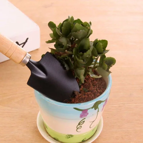 Miniatura 6 de Leadigol Mini pala de jardín deshierbe hogar flor pala maceta planta bonsái herramienta mango de madera jardinería maceta herramienta mango