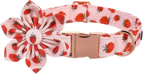 Lionet Paws Collar para perro con flor – Lindo collar de algodón ajustable para perro y gato con hebilla de metal para cachorros, hembras, XS,